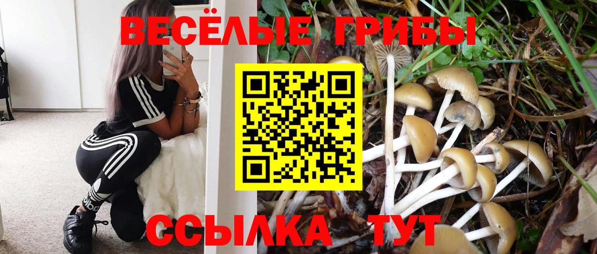 Галлюциногенные грибы MAGIC MUSHROOMS  Вход с VPN  Галлюциногенные грибы GOLDEN TEACHER  Кашира 