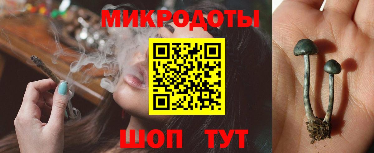 Галлюциногенные грибы GOLDEN TEACHER Кашира